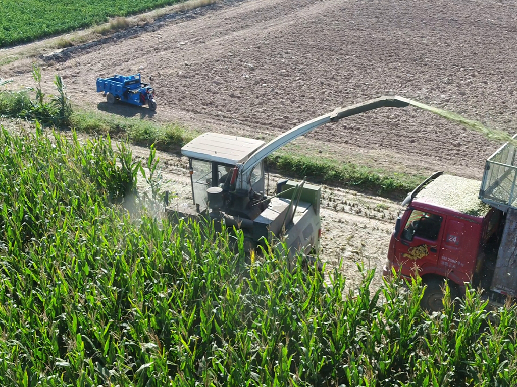 9QZ-3300B作业 9QZ-3300B作业