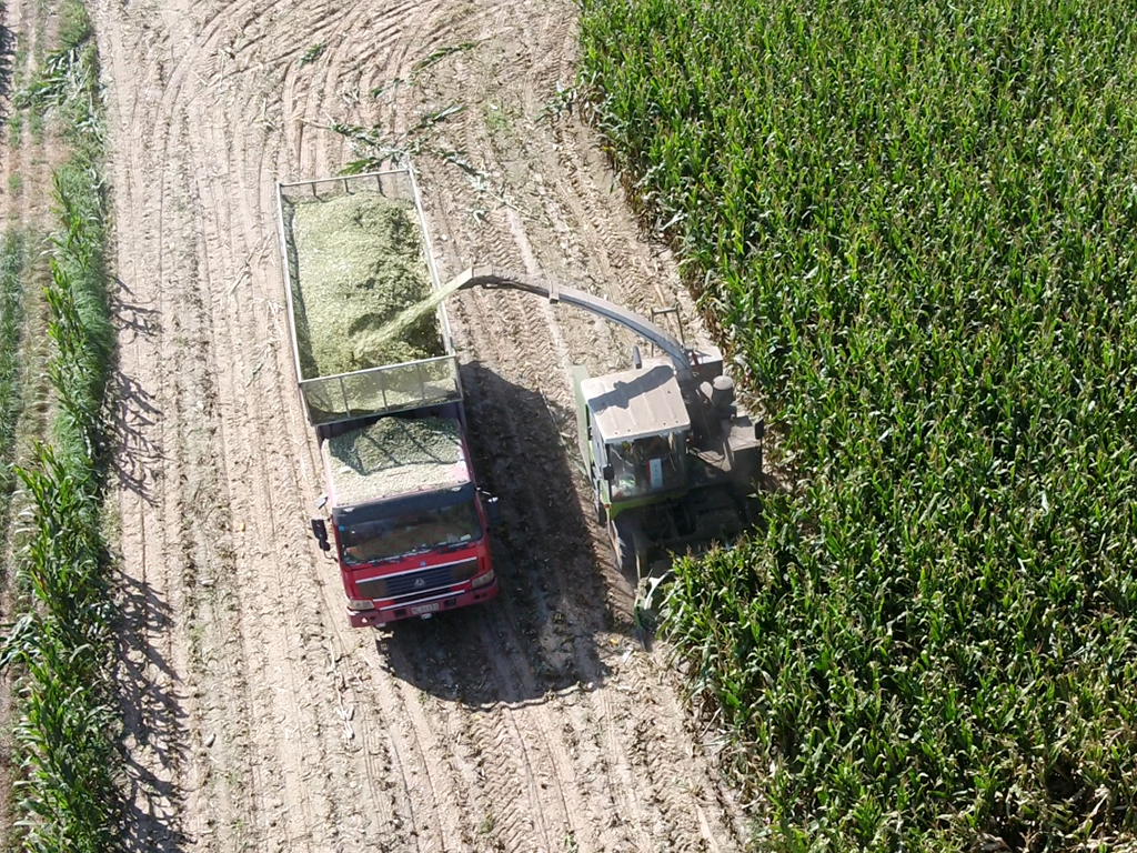 9QZ-3300B作业2 9QZ-3300B作业2