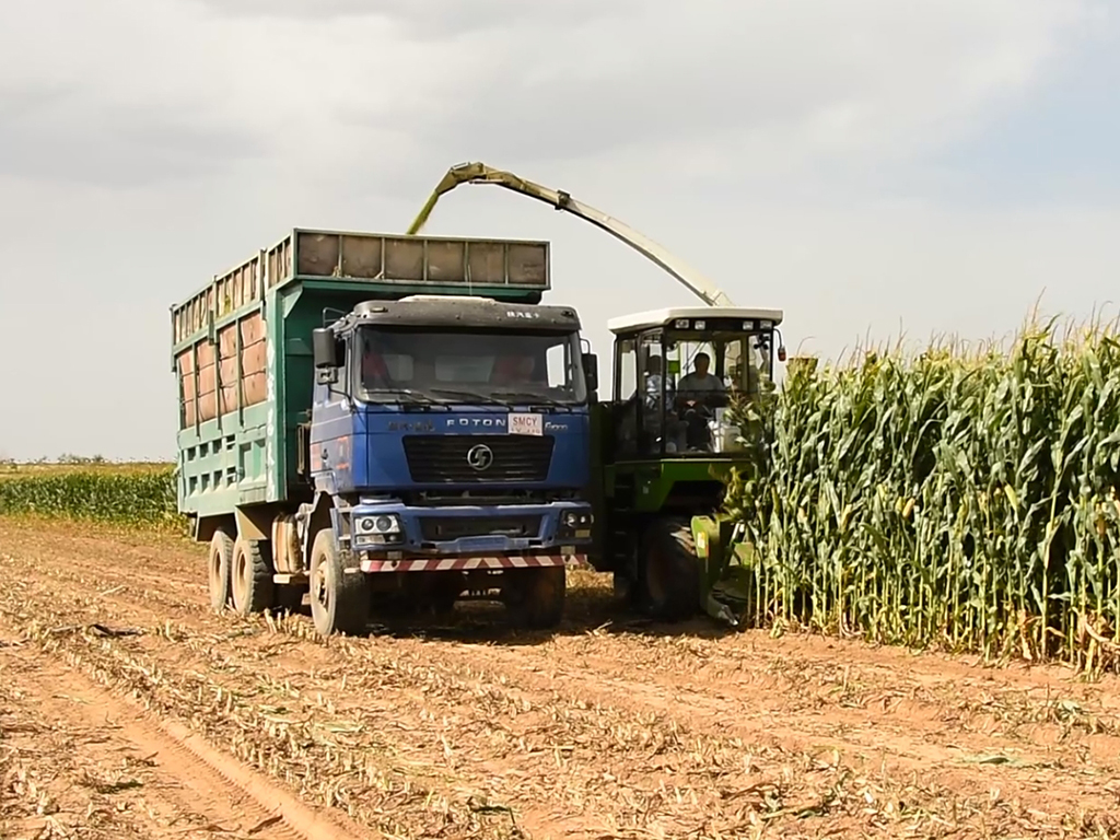 9QZ-3300B作业3 9QZ-3300B作业3