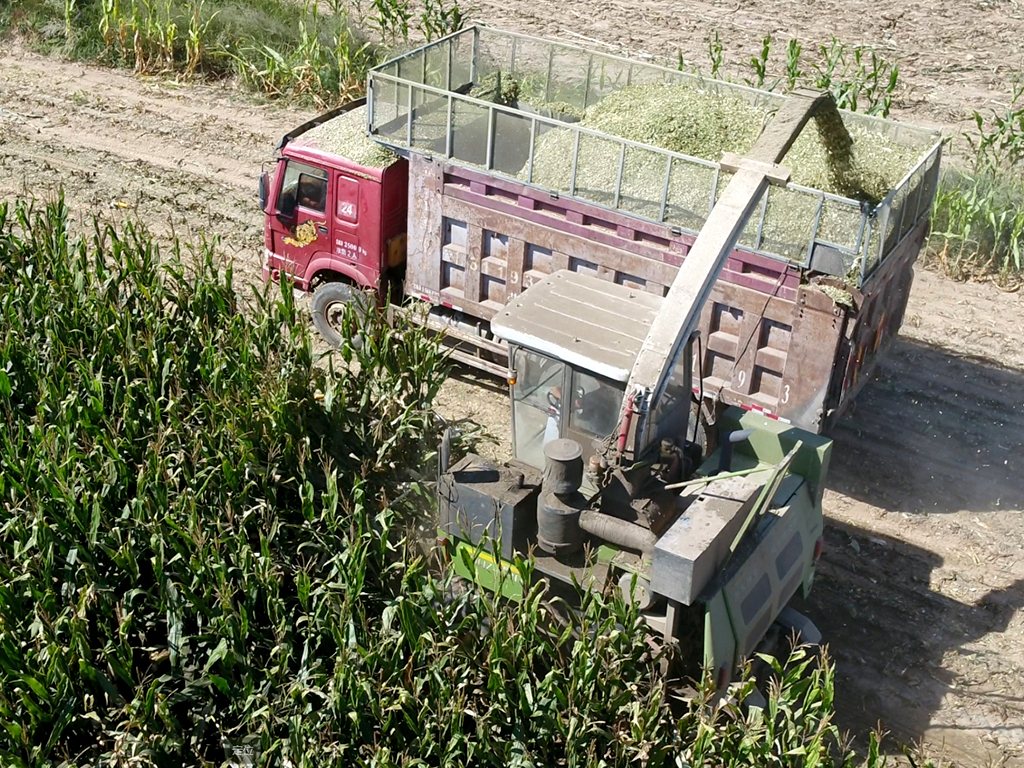 9QZ-3300B作业4 9QZ-3300B作业4